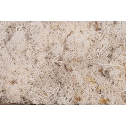 Finlandsmos hvid 500 gr