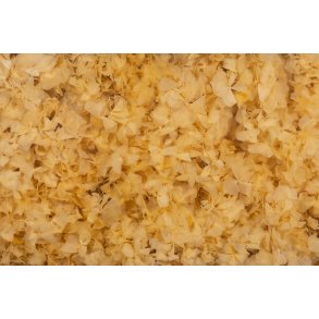 Hortensia vanilje 20-25 stk.