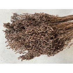 Tati Broom Naturbrun, 200 gr. 
