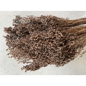 Tati Broom Naturbrun, 200 gr. 