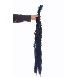 Amaranthus Midnatsbl 