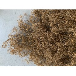 Mini Glypsophilia Kobber, 150 gr. 