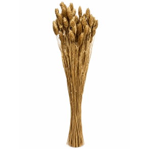 Poa Gold, 100 gr. 