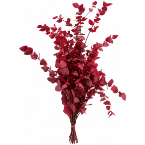 Euc. Stuartiana Cyclamen 150 gr.