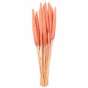 Balaba Rosa 20 stk. 