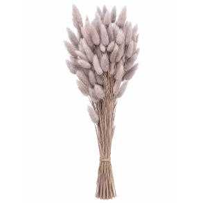 Lagurus Schlamm, 100 gr. 