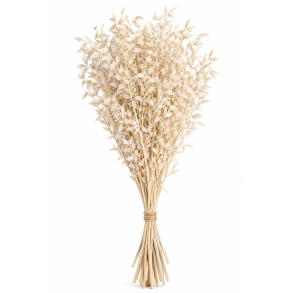 Ruskus Hvid 400 gr. 