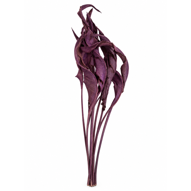 Estralit blade Bl�violet, 10 stk. 