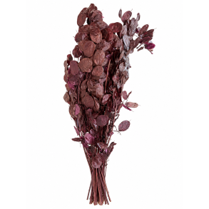 Lunaria plaume 100 gr.