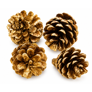 Pine Cone Gold Wash, 1  kg