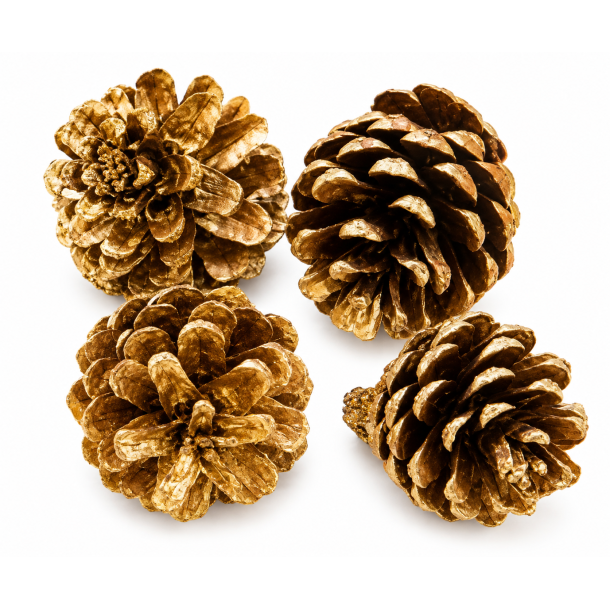 Pine Cone Gold Wash, 1  kg