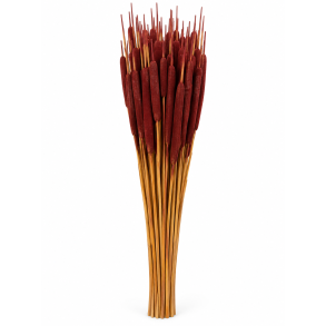 Dunhamre Terracotta, 100 stk. 