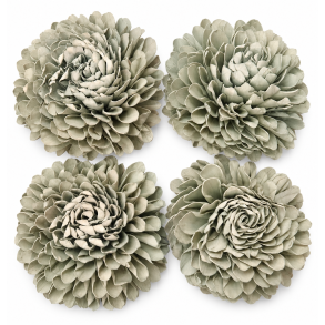 Shola Zinnia 20 cm Mud Green 4 stk
