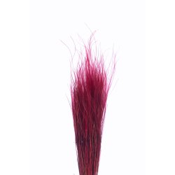 Stypa Bordo 50 gr.