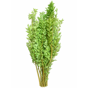 Ruskus Salbai, 400 gr, 