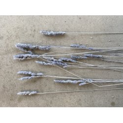 Dactilus Silbergrau, 150 gr. 