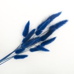 Lagurus Midtnatbl, 100 gr, 