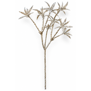Blomsterstjerne Patina, 20 cm pind, 48 s