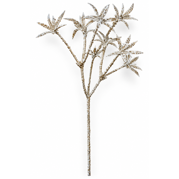 Blomsterstjerne Patina, 20 cm pind, 48 s