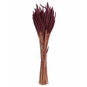 Phleum Pflaume 150 gr.