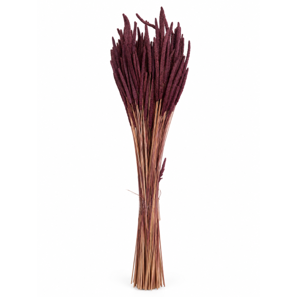 Phleum Pflaume 150 gr.