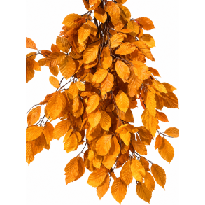 B�geblade sennep 150 gr.