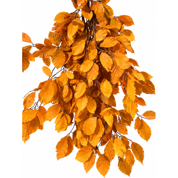 B�geblade sennep 150 gr.
