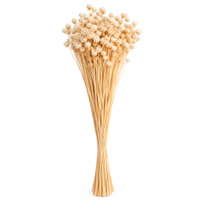 Glixia Gigante Hvid, 100 gr.