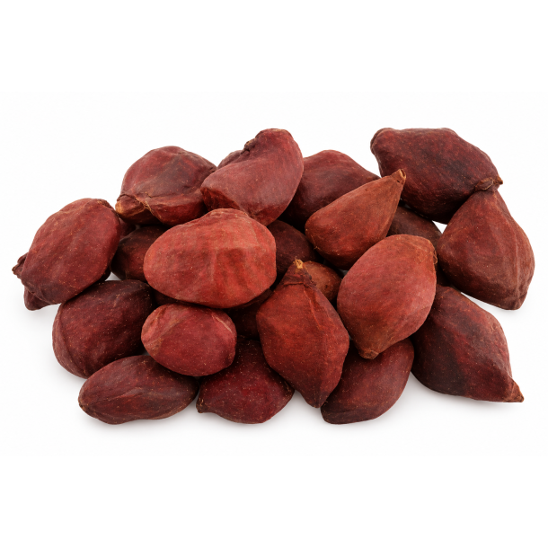 Baobab small red 25 stk.