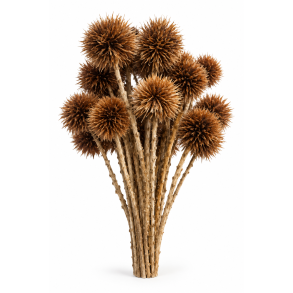 Kartoos Brun 25 stk. on stem