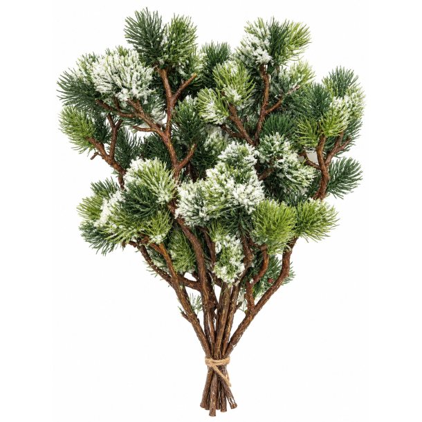 Bonsai grangren med sne 8 stk.