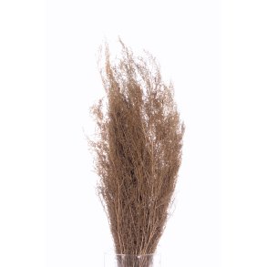 Brizzone Natur 300 gr. 