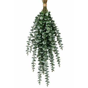 Eucalyptus babyblue 150 gr.