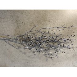 Cico Grs Silbergrau, 200 gr.