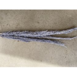 Uva Neu Silbergrau 200 gr.