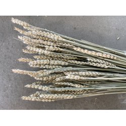 Tarwe (Hvede) Natur, 200 gr. 