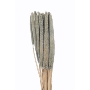 Balaba 20 stk. Grigio Chiaro Gr