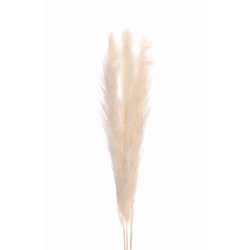 Dang Pampas Hvid pr. stk 