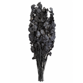 Lunaria Sort, 100 gr. 