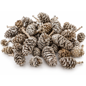 Birch Pine 1 kg. Platin Wash 