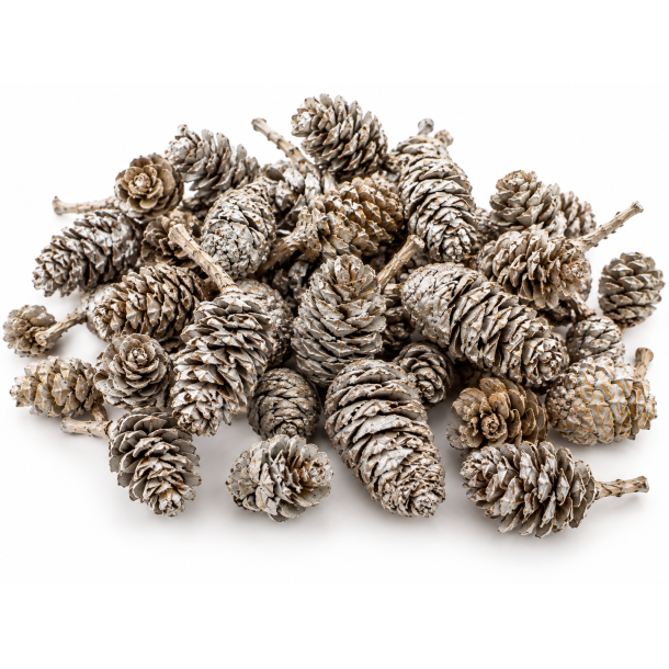 Birch Pine 1 kg. Platin Wash 