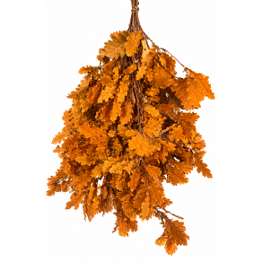 Oak gylden 150 gr.