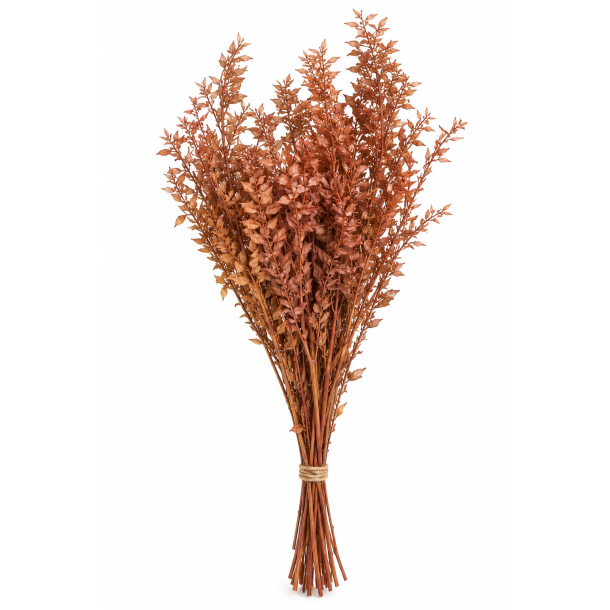 Ruskus Nocciola 400 gr.