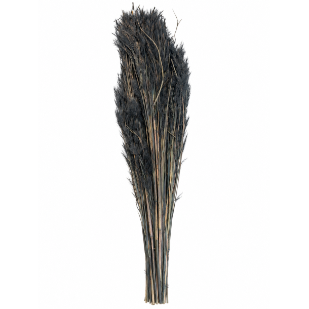 Pluminha Gras Sort, 100 gr. 