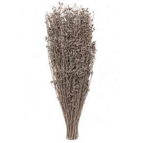 Parsi gr�s Gray, 60 cm, 150 gr. 