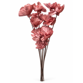 Shola Nayan flower 12 stk rosa
