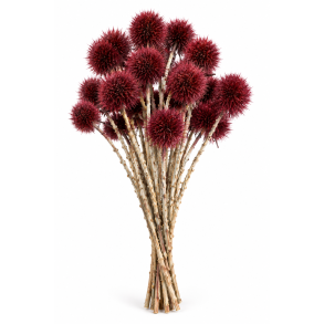 Kartoos Bordeaux 25 stk. on stem