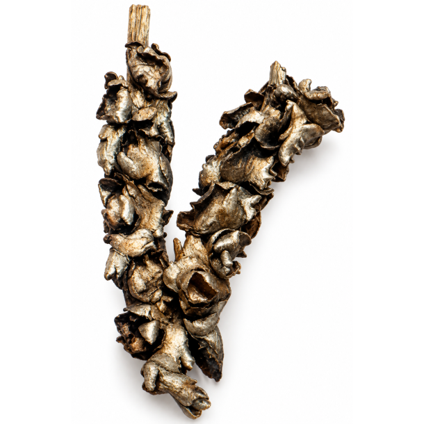 Palm female platin 10 stk