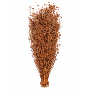 Parsi gr�s Terracotta 60 cm , 150 gr. 