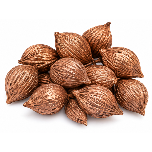 Mini Mintolla Copper 100 st. o/wr.